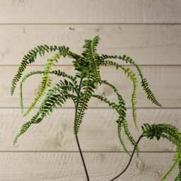 FERN BONSAI 90cm - thumbnail 5