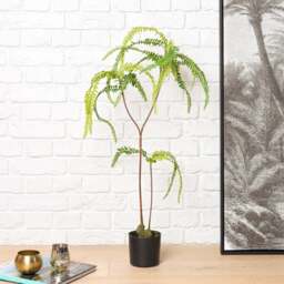 FERN BONSAI 90cm - thumbnail 1