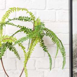 FERN BONSAI 90cm - thumbnail 2