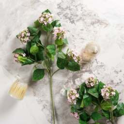 HYDRANGEA branch 68cm