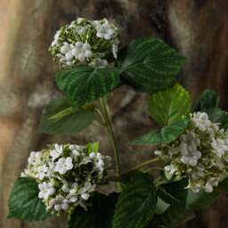 HYDRANGEA branch 68cm - thumbnail 4