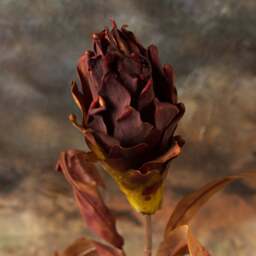 Autumnal pineapple leaf stem 83cm - thumbnail 4