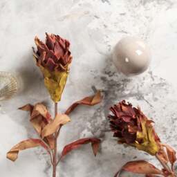 Autumnal pineapple leaf stem 83cm - thumbnail 2