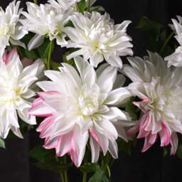 DAHLIA 86cm - thumbnail 4