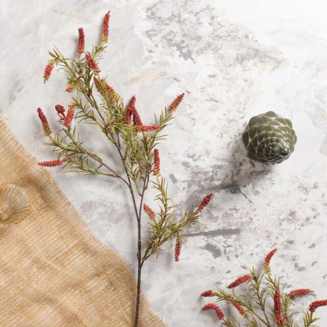 foxtail grass 104cm - image 1