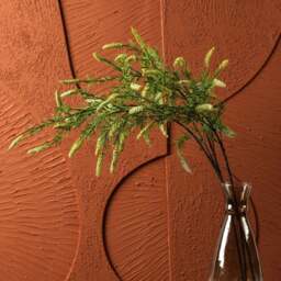 foxtail grass 104cm - thumbnail 4