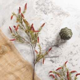 foxtail grass 104cm - thumbnail 1