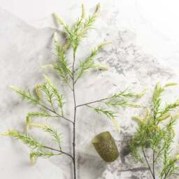 foxtail grass 104cm - thumbnail 3