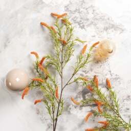 foxtail grass 104cm - thumbnail 2