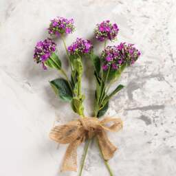 HYDRANGEA blooms 64cm - thumbnail 3