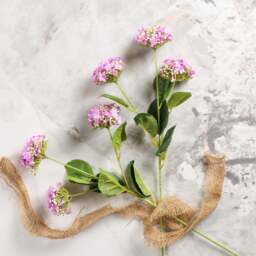 HYDRANGEA blooms 64cm - thumbnail 1