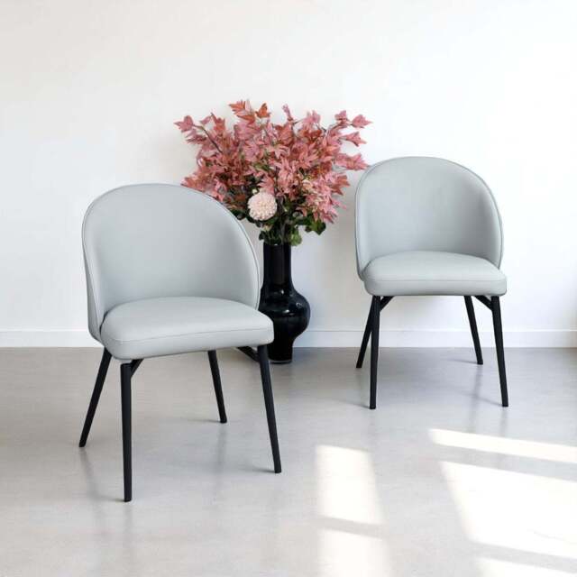 Jupiter Dining Chair in Light Grey (Set of 2) - image 1