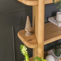 Fairmile Bookcase - thumbnail 5