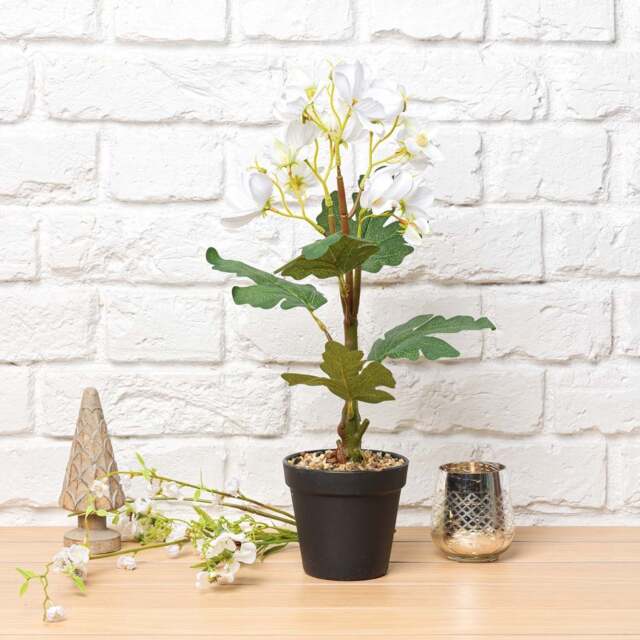 Cherry blossom Bonsai Tree 42cm - image 1