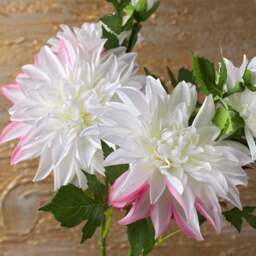 DAHLIA 79cm - thumbnail 4