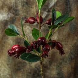 Pomegranate Flower Spray 48cm - thumbnail 3