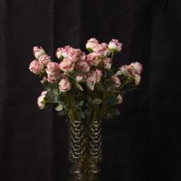 Rose 56cm - thumbnail 2