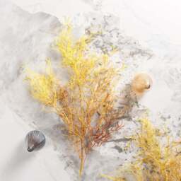 Coral branch 103cm - thumbnail 4