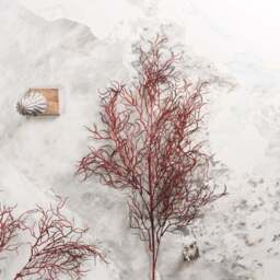 Coral branch 103cm - thumbnail 3