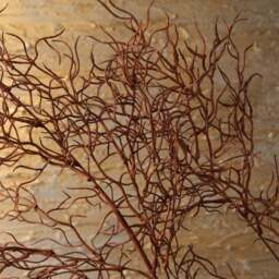 Coral branch 103cm - thumbnail 6