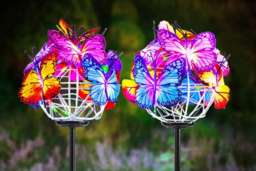 Solar LED Butterfly Path Lights - Weatherproof Outdoor Garden Lighting, 2-Pack