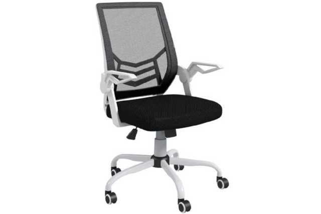 Ergonomic Mesh Office Chair - Adjustable Height, Flip-Up Arms, Lumbar Support, Black, 120kg Capacity - image 1