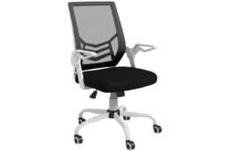 Ergonomic Mesh Office Chair - Adjustable Height, Flip-Up Arms, Lumbar Support, Black, 120kg Capacity