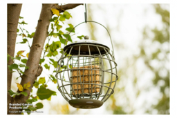 Squirrel-Proof Suet Bird Feeder - Durable Steel, Wildlife-Friendly, Sage Green - thumbnail 6