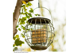 Squirrel-Proof Suet Bird Feeder - Durable Steel, Wildlife-Friendly, Sage Green - thumbnail 8