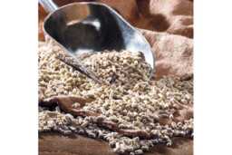 Protein-Rich Mealworm Suet Pellets - Bird Feeder Wildlife Support - thumbnail 1