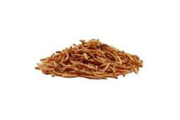 High-Protein Dried Mealworms for Wild Bird Feeders - Wildlife-Friendly Garden Snack - thumbnail 4