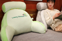 PRICE DROP! Lumbar Support Bed Pillow - Premium Comfort in 2 Sizes & 5 Designs - thumbnail 4