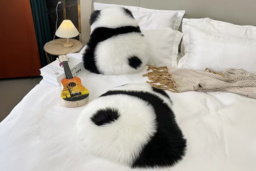 Plush Panda Imitation Wool Cushion or Pillow - Ultra-Soft, Versatile Panda Decor, 52cm x 53cm
