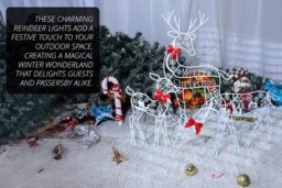 LED Reindeer Family Christmas Garden Lights - Outdoor Festive Decor, 3 Sizes - thumbnail 3