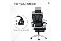 Ergonomic Mesh Office Chair - Adjustable Headrest, Lumbar & Footrest, Reclining, Black - thumbnail 3