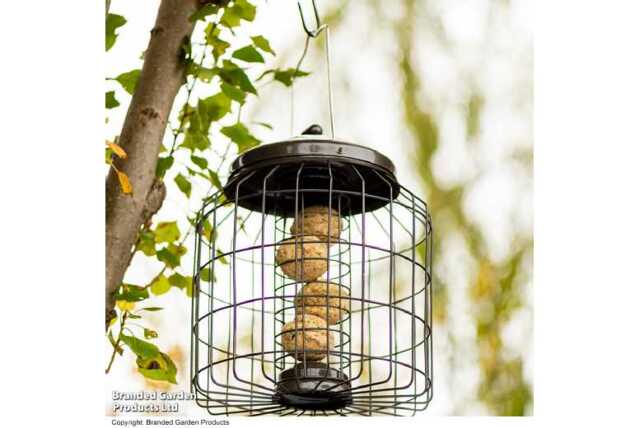 Squirrel-Proof Bird Feeder - Heavy Duty, Weather-Resistant, Hygienic Steel - image 1