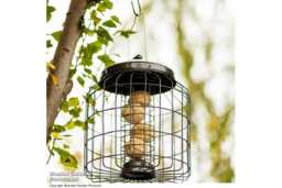 Squirrel-Proof Bird Feeder - Heavy Duty, Weather-Resistant, Hygienic Steel