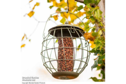 Squirrel-Proof Orbital Bird Feeder - Weather-Resistant Steel, Peanut Holder, Songbird-Friendly - thumbnail 7