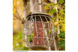 Squirrel-Proof Orbital Bird Feeder - Weather-Resistant Steel, Peanut Holder, Songbird-Friendly
