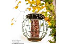 Squirrel-Proof Orbital Bird Feeder - Weather-Resistant Steel, Peanut Holder, Songbird-Friendly - thumbnail 3