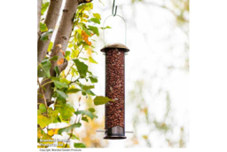 Weather-Resistant Peanut & Sunflower Heart Bird Feeder - Brassed Steel, Songbird-Friendly - thumbnail 8