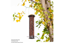 Weather-Resistant Peanut & Sunflower Heart Bird Feeder - Brassed Steel, Songbird-Friendly - thumbnail 5