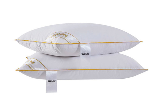 PRICE DROP! Luxury Goose Feather & Down Pillows - Hypoallergenic, Breathable, Standard Size - Pack of 2 or 4 - image 1