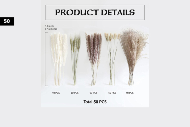 "Natural Dried Pampas Grass Bouquet - Bohemian Decorative Stems, 17"" Real Grass, 6 Size Options for Vase & Wall Art" - image 1