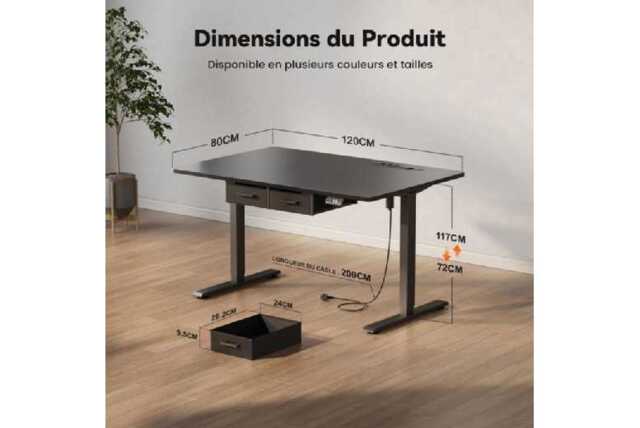 EcoFurnix Electric Adjustable Living Room Desk - Walnut Wood Top, Alloy Steel Frame, 120x80cm, Modern Storage - image 1