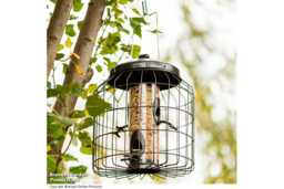 Squirrel-Proof Bird Feeder - Weather-Resistant Steel, Hygienic, 500g Seed Capacity - thumbnail 4