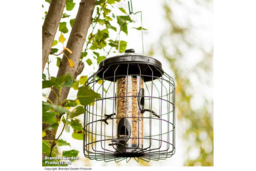 Squirrel-Proof Bird Feeder - Weather-Resistant Steel, Hygienic, 500g Seed Capacity - thumbnail 8