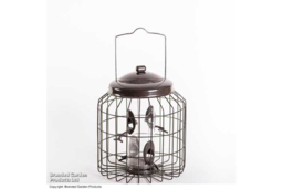 Squirrel-Proof Bird Feeder - Weather-Resistant Steel, Hygienic, 500g Seed Capacity - thumbnail 7