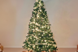 String Ribbon Lights - 3 Colours - thumbnail 6