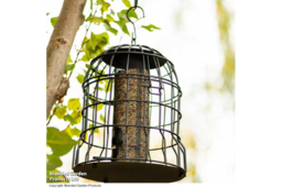 Squirrel-Proof Bird Feeder - Heavy-Duty Metal, Bio-Master Coating, Songbird-Friendly - thumbnail 8